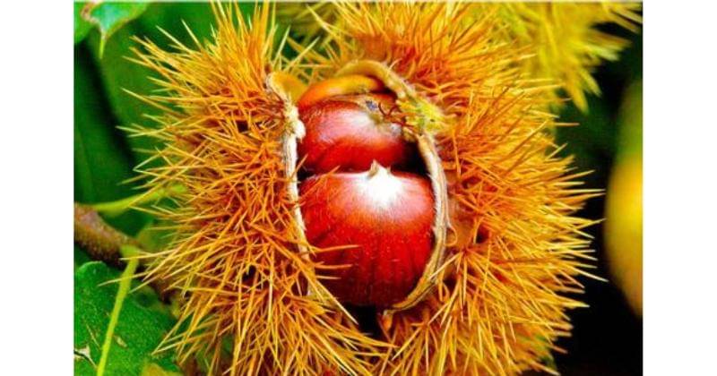 Pinterest.com/mario afarel