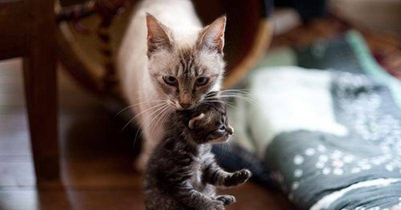 Pinterest.com/We Heart It