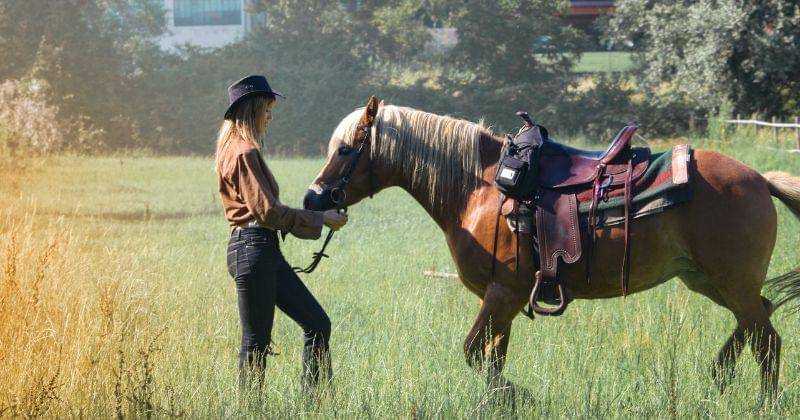 Pexels/ Andrea Piacquadio