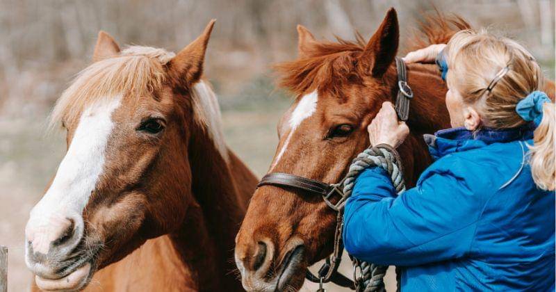 Pexels/ Barbara Olsen