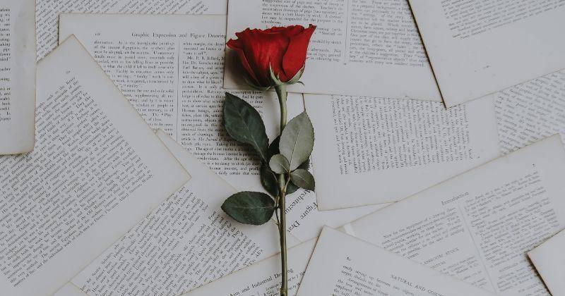 Unsplash/Annie Spratt