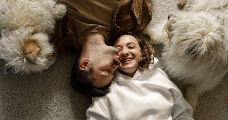 Pexels/ Yaroslav Shuraev