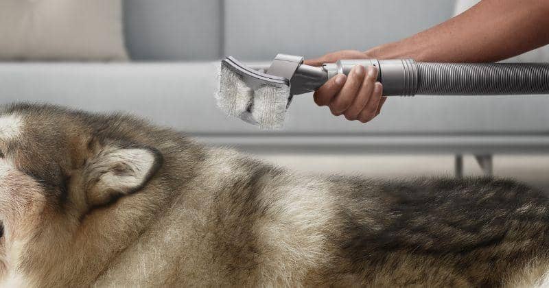 Dok. Dyson Indonesia