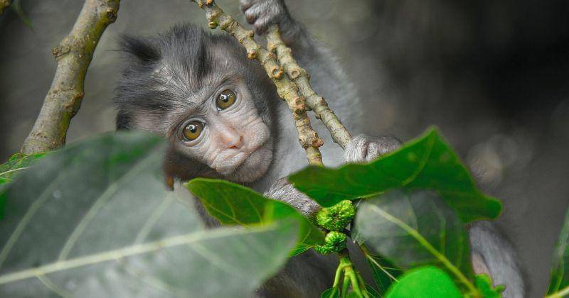 Pexels/ Sebastian Voortman