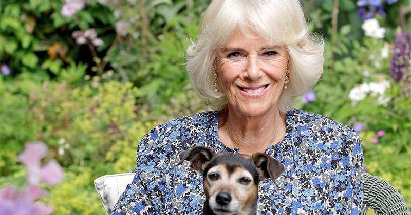 Instagram.com/clarencehouse