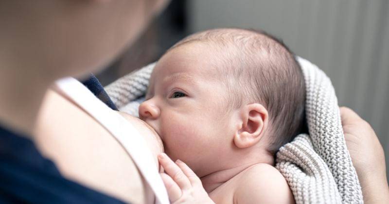 Freepik/pvproductions