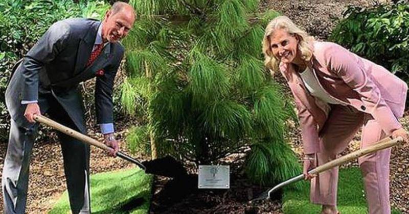 Instagram.com/Theroyalfamily