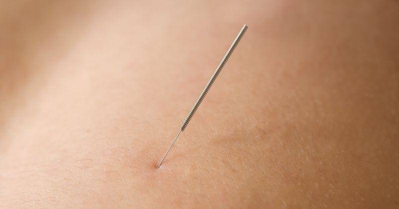 Freepik/wavebreakmedia_micro