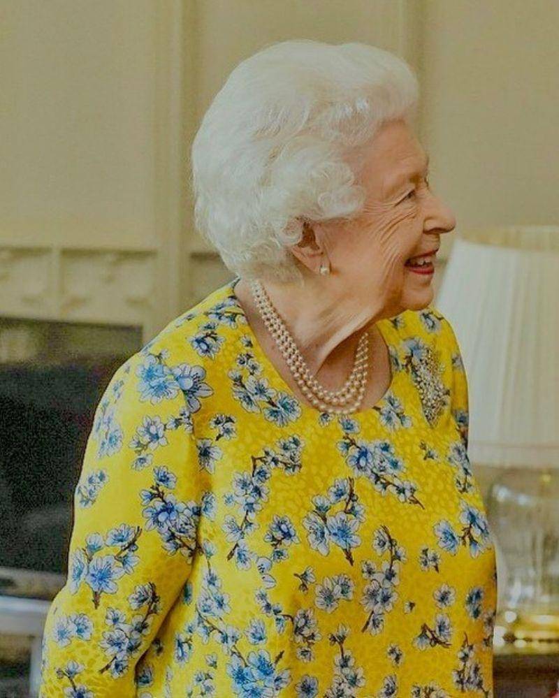 Instagram.com/monarchy_society