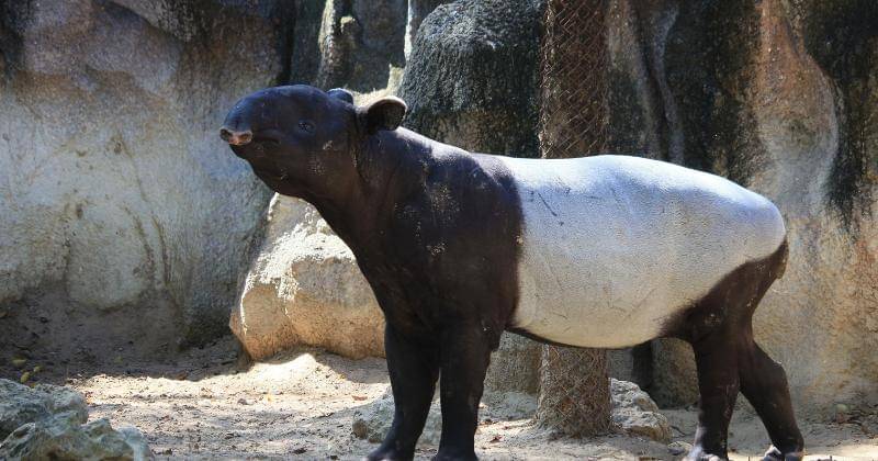 Pexels/Rutpratheep Nilpechr 