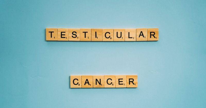 pexels.com/anntarazevich/