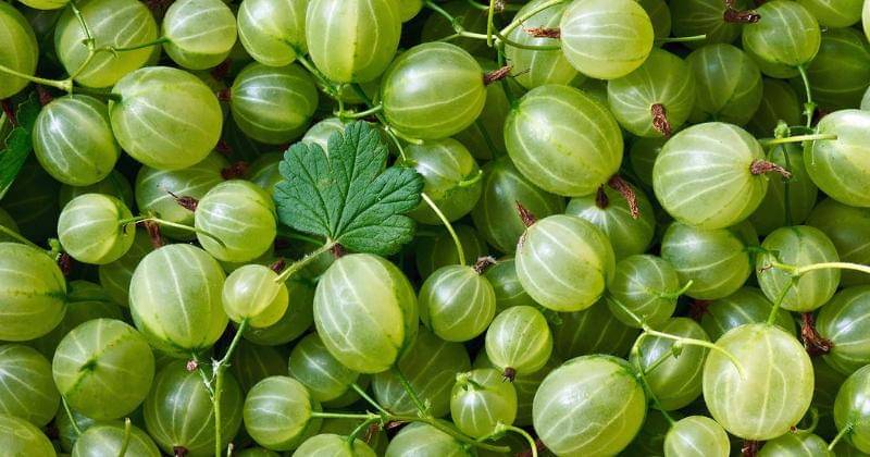 recipes.howstuffworks.com