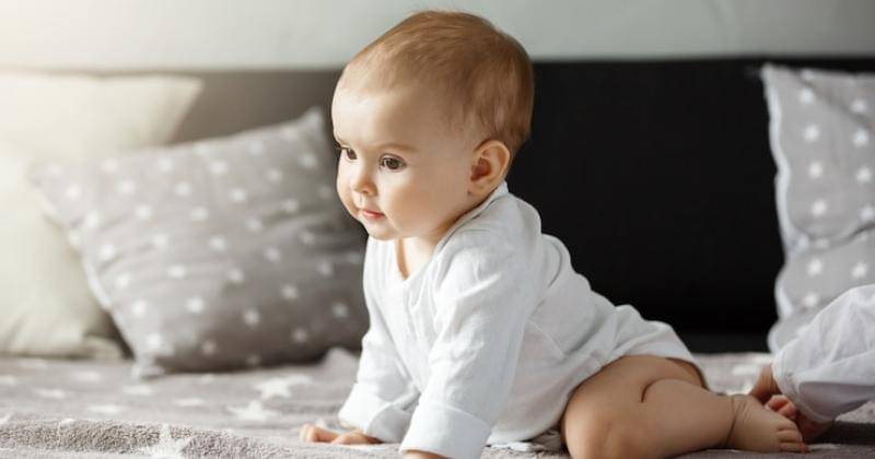 Freepik/cookie_studio