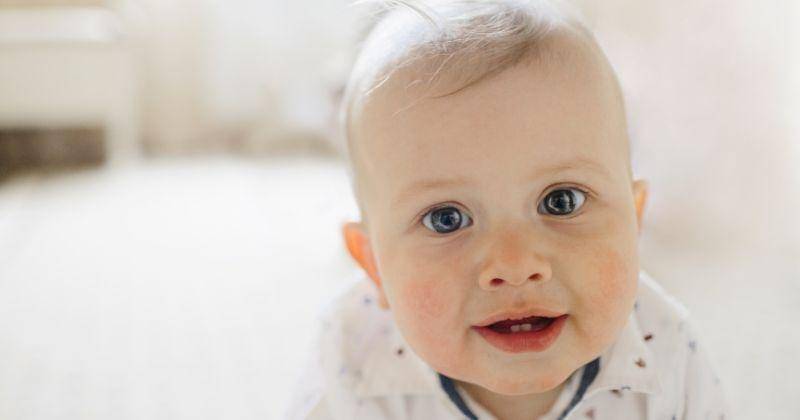 Freepik/Freepic.diller