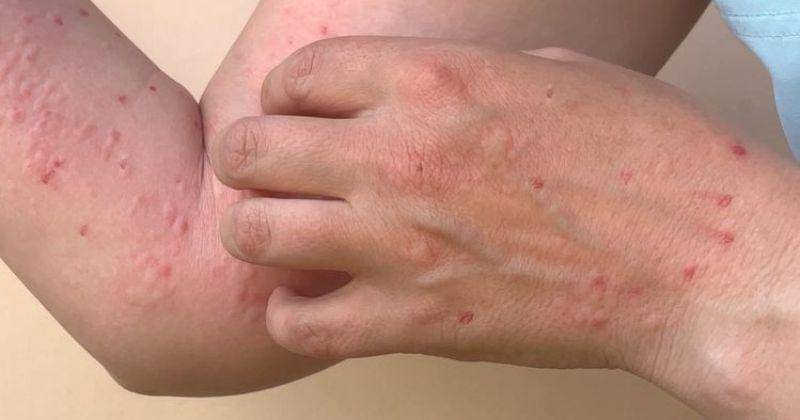 Pinterest.com/SELF Magazine