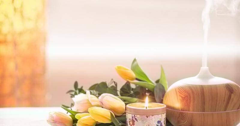 Freepik/PV Productions