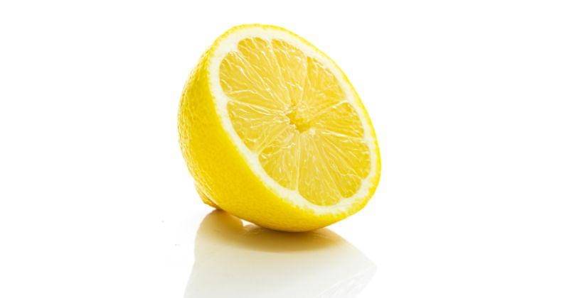 unsplash.com/@mo_jito