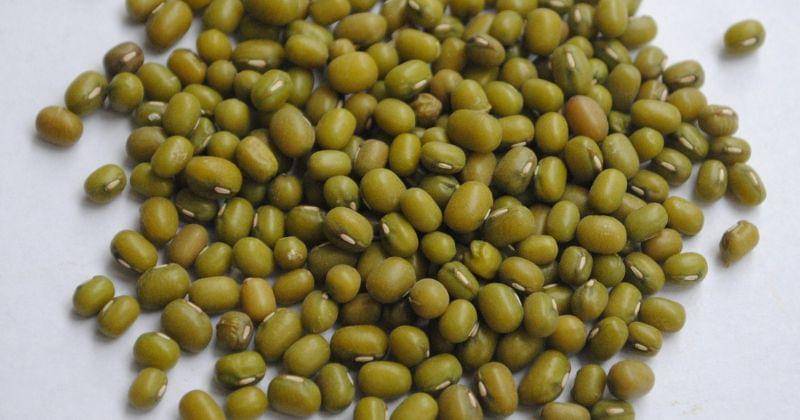 unsplash.com/@david_gabriel