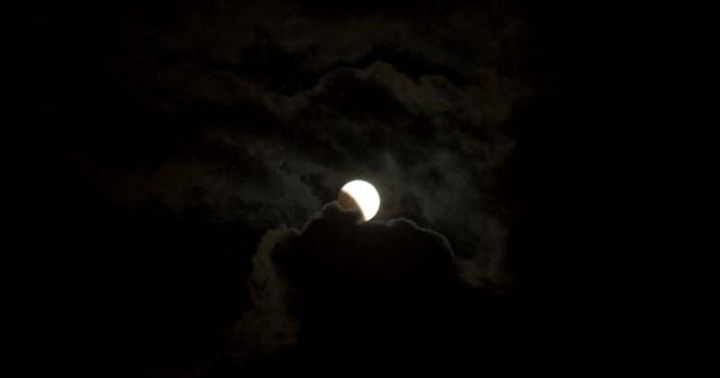 Freepik/Reflex-ajans