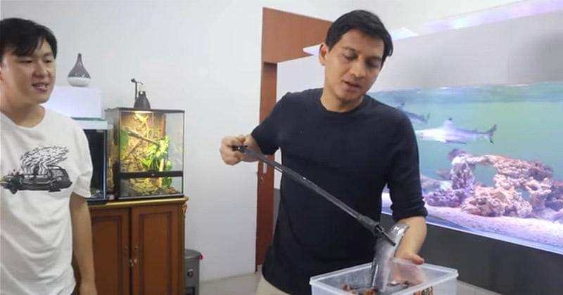 YouTube.com/Lucky Hakim Channel