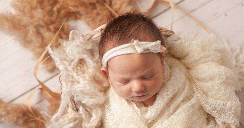 Pinterest.com/prairielaine.com