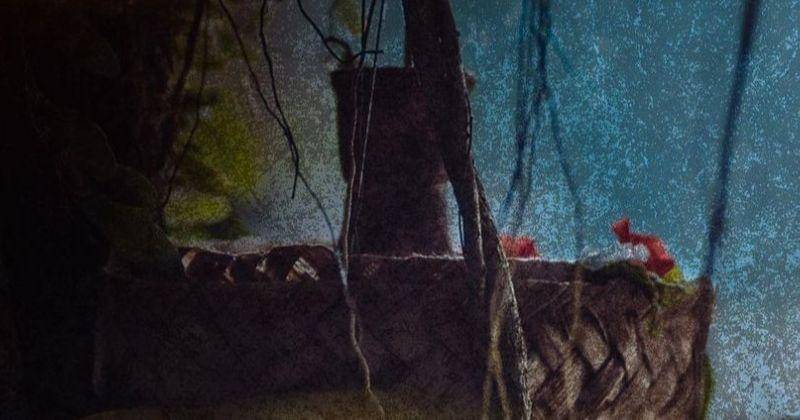 Instagram.com/idnpictures