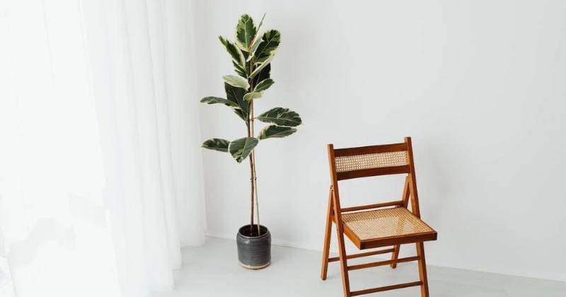 Pexels/Karolina Grabowska