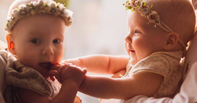 Freepik/Freepic.diller