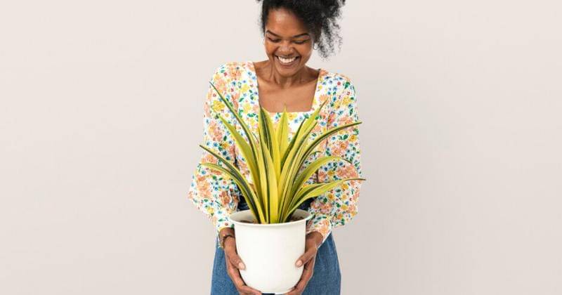 Freepik/rawpixel.com