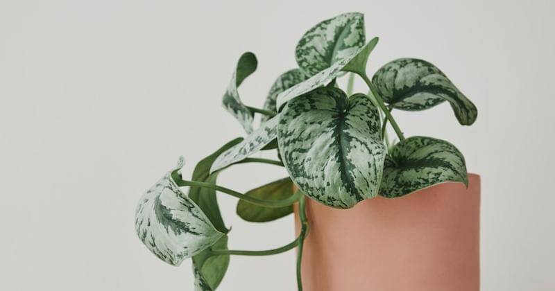 freepik/rawpixel.com