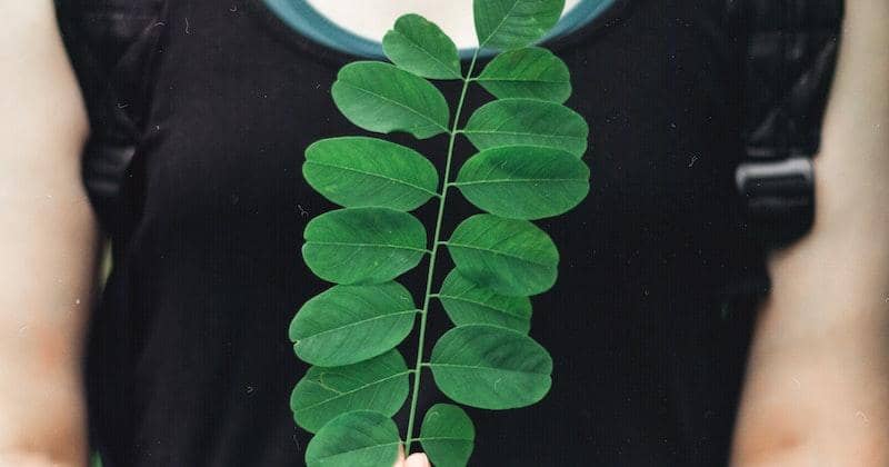 Pexels/Kris Møklebust: