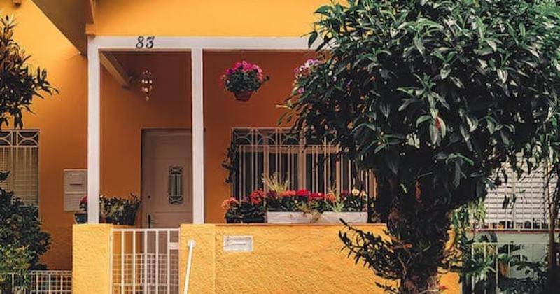 Pexels/Thgusstavo Santana