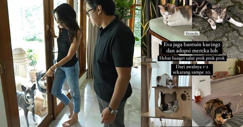 Youtube.com/TAULANY TV | Instagram.com/biasalahanakmuda