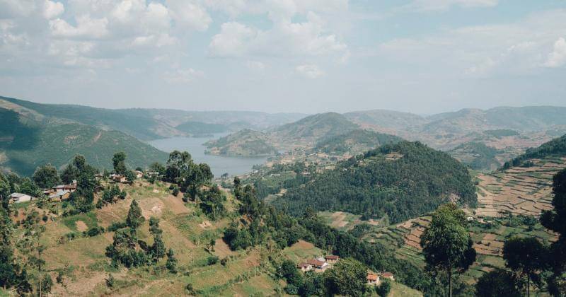 Unsplash/Social Income