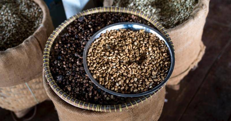 Pexels/Quang Nguyen Vinh