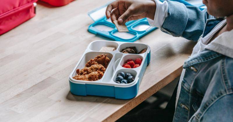 15 Ide Bekal Anak Sekolah TK yang Simpel, Enak, dan Bergizi