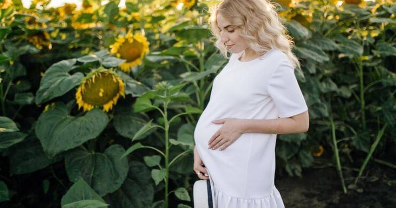 Freepik/Bristekjegor