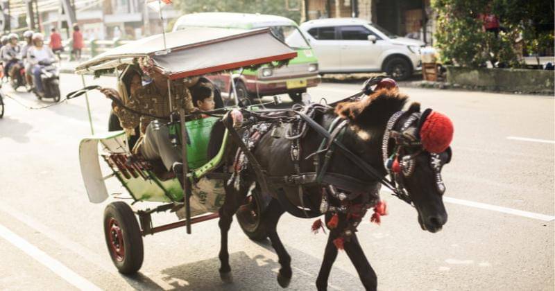 Pexels/Satria Bagaskara