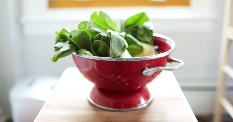 Unsplash/David Todd McCarty