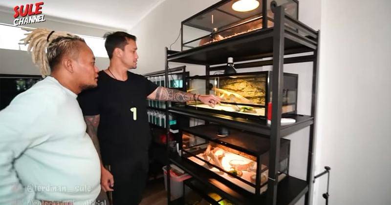 Youtube.com/SULE PRODUCTIONS