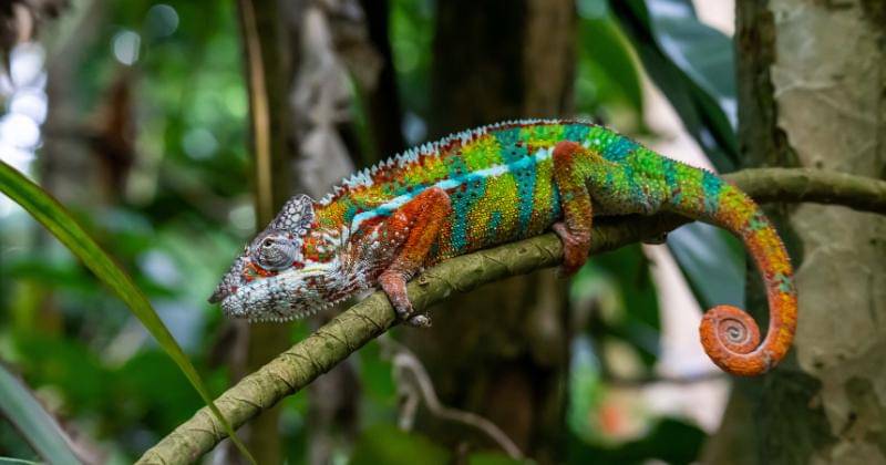 Pexels/Leon Di Benedetto