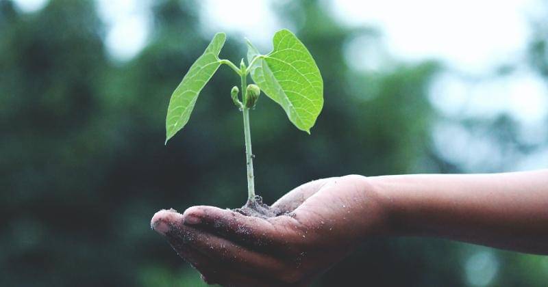 Pexels/Akil Mazumder