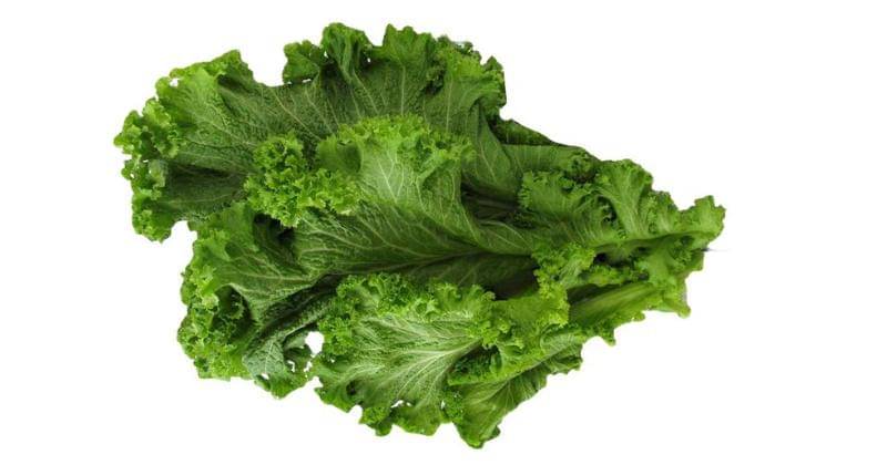 Pinterest.com/PurePNG