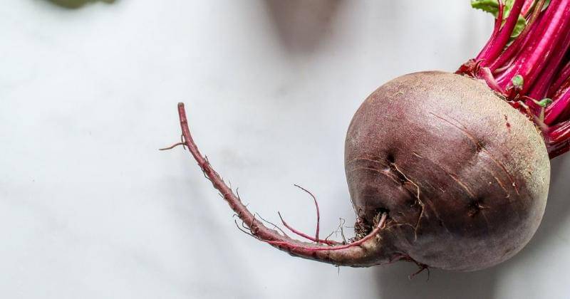 Pexels/Polina Tankilevitch