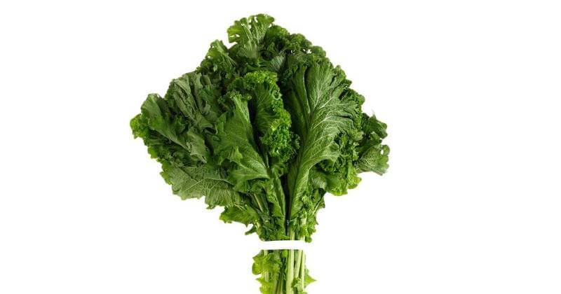 Pinterest.com/PurePNG 