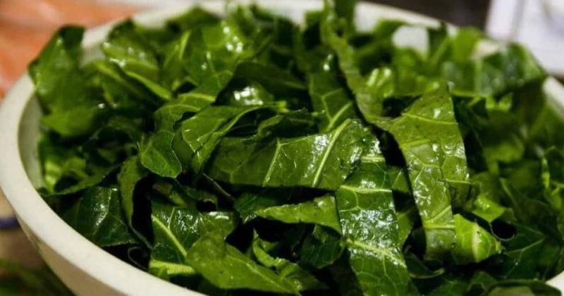 smallfootprintfamily.com