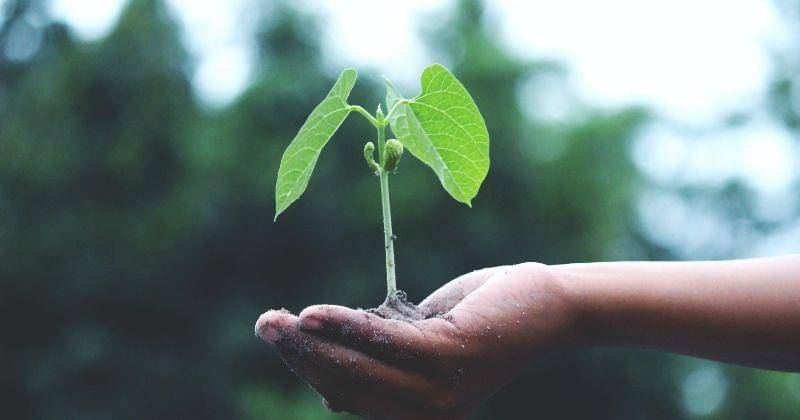 Pexels/Akil Mazumder