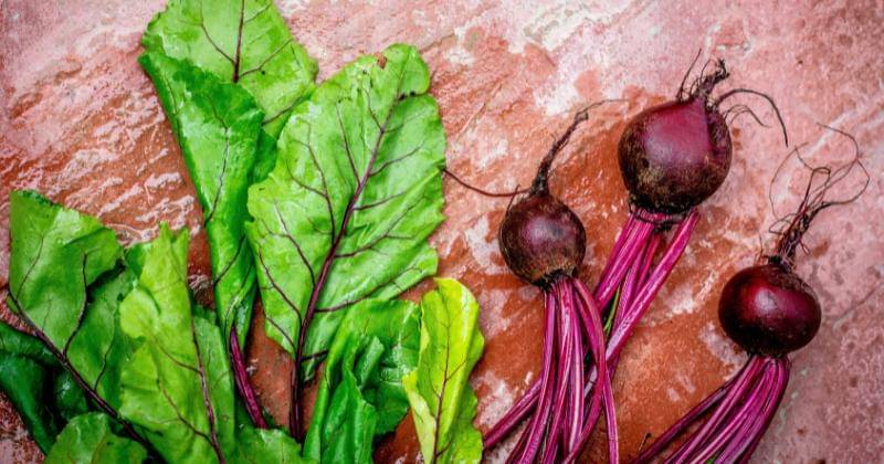 Unsplash/Monika Grabkowska 