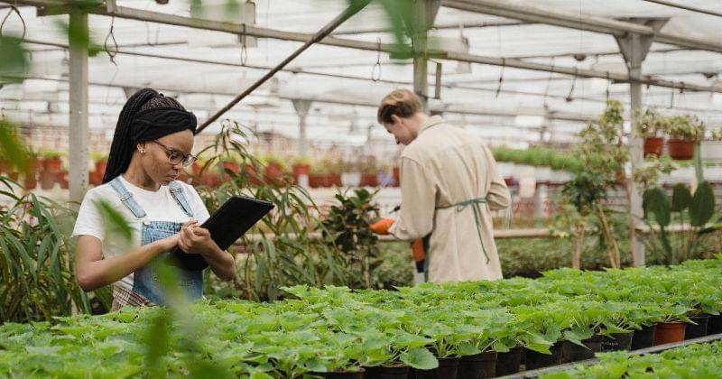 Pexels/Tima Miroshnichenko