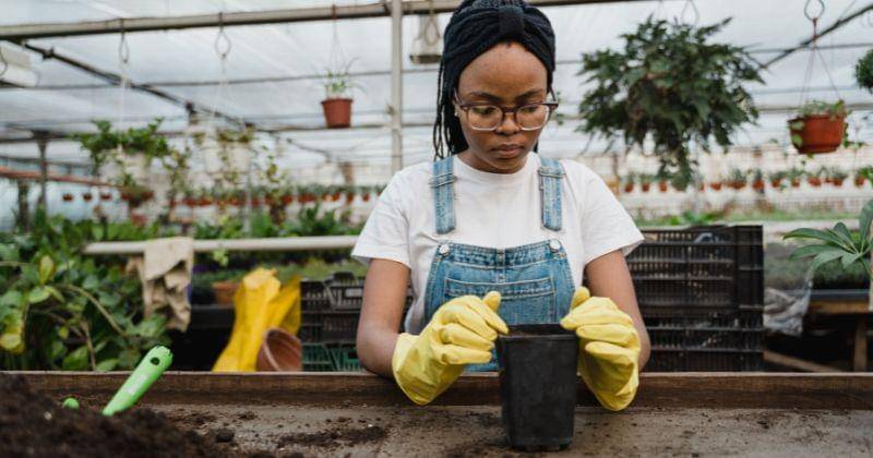 Pexels/Tima Miroshnichenko